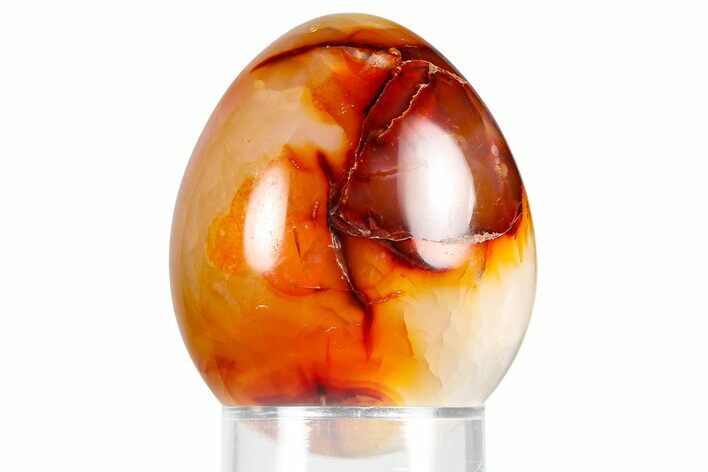 Vibrant Polished Carnelian Agate Egg - Madagascar #355517